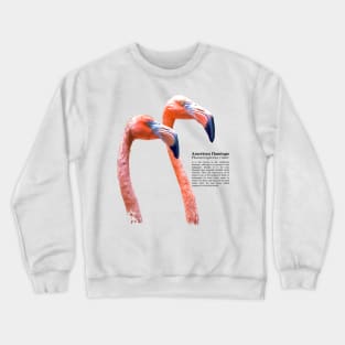 American flamingo tropical bird black text Crewneck Sweatshirt